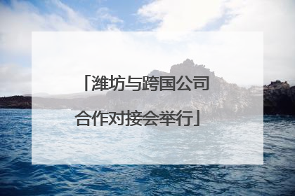 潍坊与跨国公司合作对接会举行