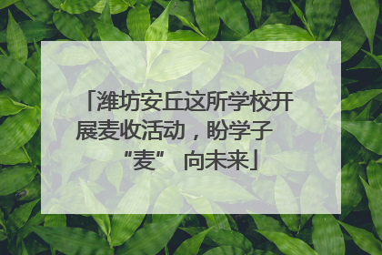 潍坊安丘这所学校开展麦收活动，盼学子 “麦” 向未来