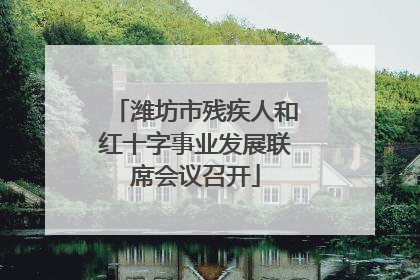 潍坊市残疾人和红十字事业发展联席会议召开