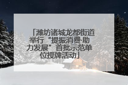 潍坊诸城龙都街道举行“提振消费·助力发展”首批示范单位授牌活动