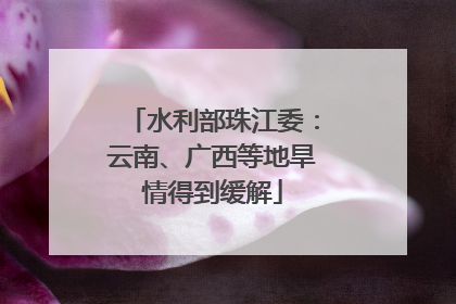 水利部珠江委：云南、广西等地旱情得到缓解