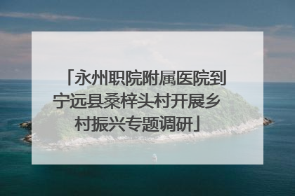 永州职院附属医院到宁远县桑梓头村开展乡村振兴专题调研