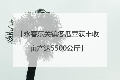 永春东关镇冬瓜喜获丰收 亩产达5500公斤