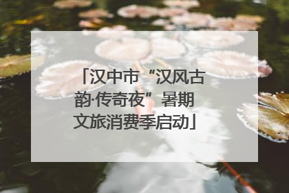 汉中市“汉风古韵·传奇夜”暑期文旅消费季启动