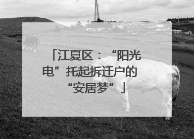 江夏区：“阳光电”托起拆迁户的“安居梦”