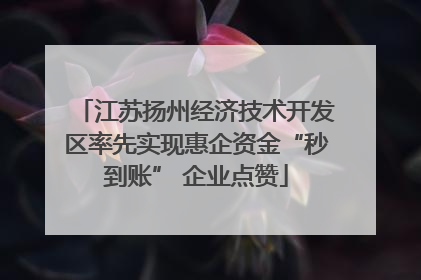 江苏扬州经济技术开发区率先实现惠企资金“秒到账” 企业点赞