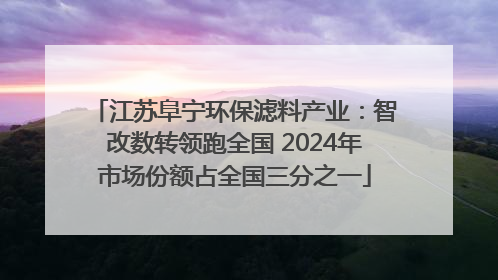 江苏阜宁环保滤料产业：智改数转领跑全国 2024年市场份额占全国三分之一