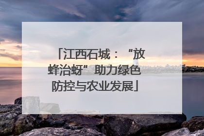 江西石城：“放蜂治蚜”助力绿色防控与农业发展