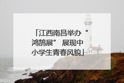 江西南昌举办“鸿鹄展” 展现中小学生青春风貌