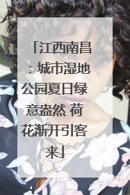 江西南昌：城市湿地公园夏日绿意盎然 荷花渐开引客来