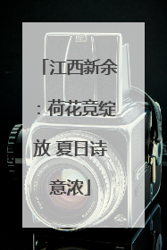 江西新余：荷花竞绽放 夏日诗意浓