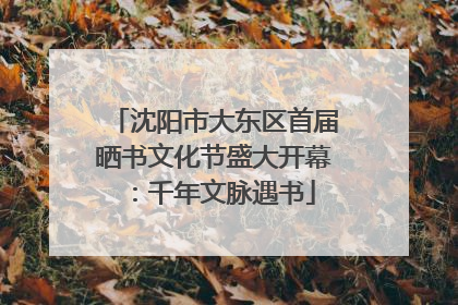 沈阳市大东区首届晒书文化节盛大开幕：千年文脉遇书