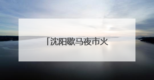 沈阳歇马夜市火爆开市！首发引擎点燃夜经济