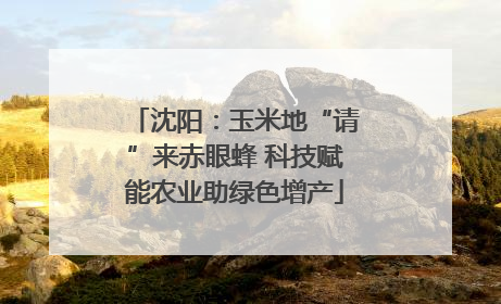 沈阳：玉米地“请”来赤眼蜂 科技赋能农业助绿色增产
