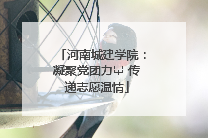 河南城建学院：凝聚党团力量 传递志愿温情