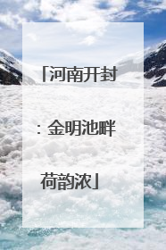 河南开封：金明池畔荷韵浓