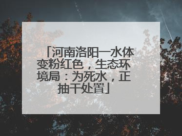 河南洛阳一水体变粉红色，生态环境局：为死水，正抽干处置