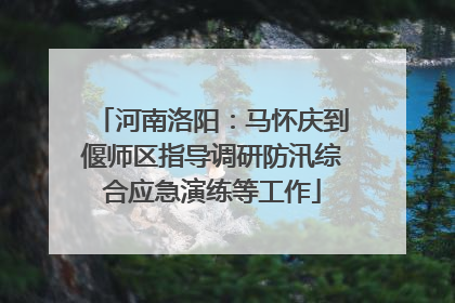河南洛阳：马怀庆到偃师区指导调研防汛综合应急演练等工作