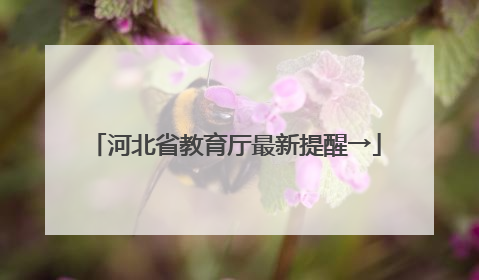 河北省教育厅最新提醒→