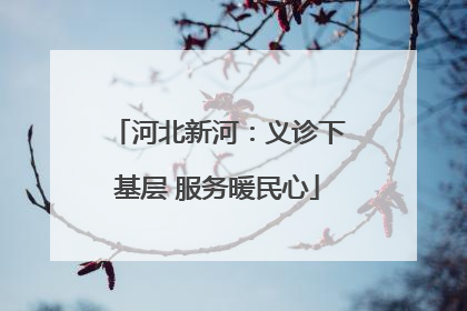 河北新河：义诊下基层 服务暖民心