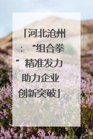 河北沧州：“组合拳”精准发力 助力企业创新突破