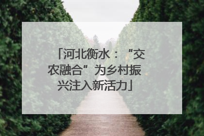 河北衡水：“交农融合”为乡村振兴注入新活力