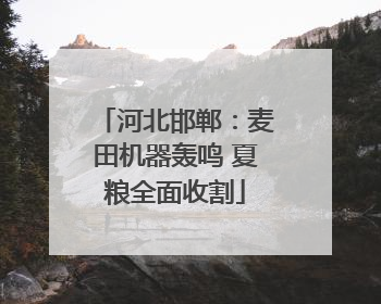 河北邯郸：麦田机器轰鸣 夏粮全面收割