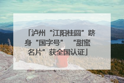 泸州“江阳桂圆”跻身“国字号” “甜蜜名片”获全国认证