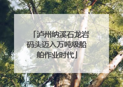 泸州纳溪石龙岩码头迈入万吨级船舶作业时代