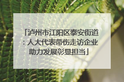 泸州市江阳区泰安街道：人大代表带伤走访企业 助力发展彰显担当
