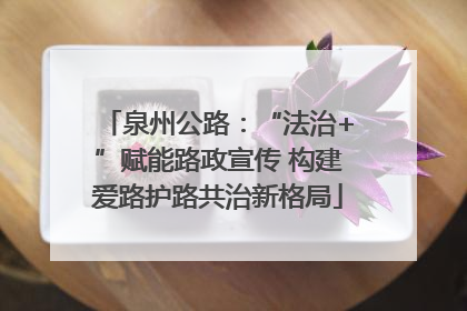 泉州公路：“法治+”赋能路政宣传 构建爱路护路共治新格局