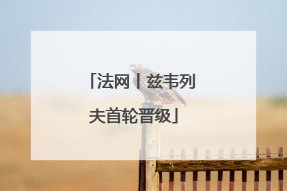 法网丨兹韦列夫首轮晋级