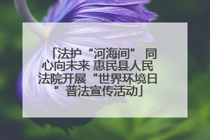 法护“河海间” 同心向未来 惠民县人民法院开展“世界环境日”普法宣传活动