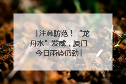 注意防范！“龙舟水”发威，厦门今日雨势仍劲