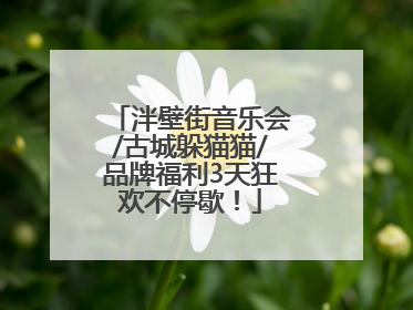 泮壁街音乐会/古城躲猫猫/品牌福利3天狂欢不停歇！