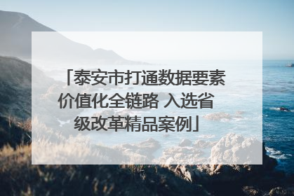 泰安市打通数据要素价值化全链路 入选省级改革精品案例