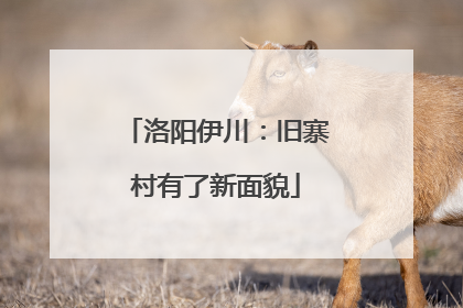 洛阳伊川：旧寨村有了新面貌