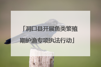 洞口县开展鱼类繁殖期护渔专项执法行动
