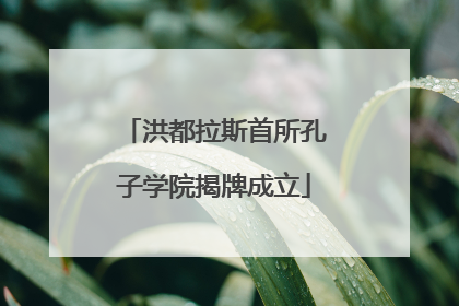 洪都拉斯首所孔子学院揭牌成立