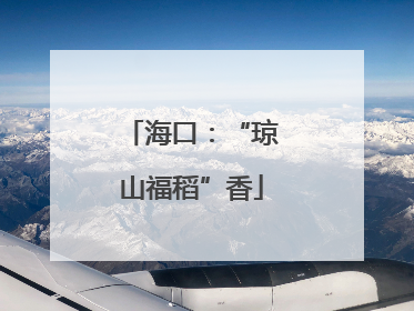 海口：“琼山福稻”香