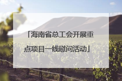 海南省总工会开展重点项目一线慰问活动