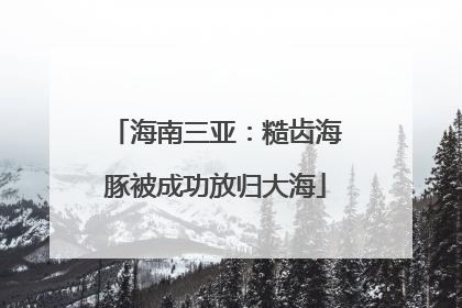 海南三亚：糙齿海豚被成功放归大海