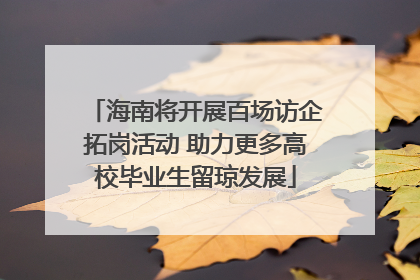 海南将开展百场访企拓岗活动 助力更多高校毕业生留琼发展