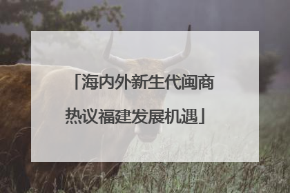海内外新生代闽商热议福建发展机遇