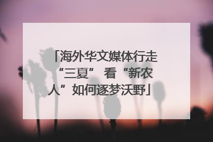 海外华文媒体行走“三夏” 看“新农人”如何逐梦沃野