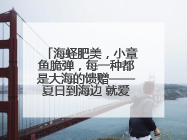 海蛏肥美，小章鱼脆弹，每一种都是大海的馈赠——夏日到海边 就爱那口鲜
