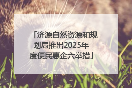 济源自然资源和规划局推出2025年度便民惠企六举措