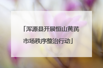 浑源县开展恒山黄芪市场秩序整治行动