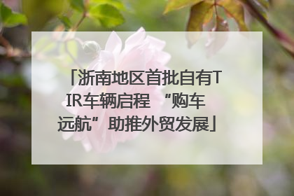 浙南地区首批自有TIR车辆启程 “购车远航”助推外贸发展