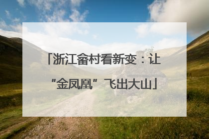 浙江畲村看新变：让“金凤凰”飞出大山